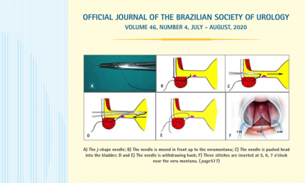 Vol. 46 N. 04, 2020