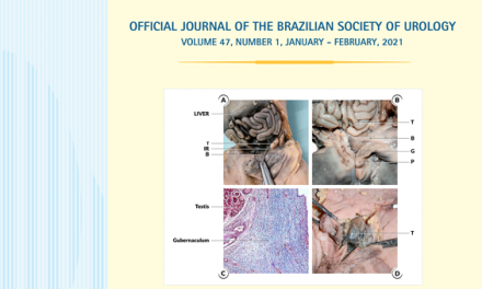 Vol. 47 N. 01, 2021