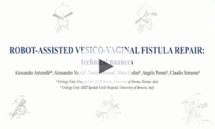 Robot-assisted vesico-vaginal fistula repair: technical nuances