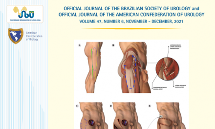 VOL. 47 N. 06, 2021