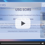 Ultrasound guided endoscopic combined Intrarenal surgery – 10 steps for the success